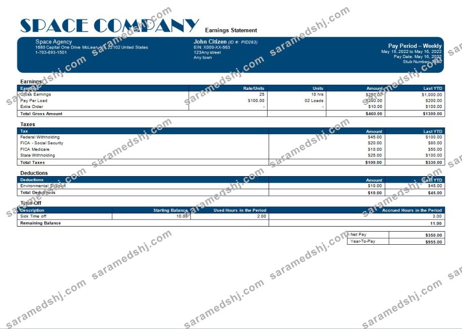 space company editable payslip template in Word and PDF formats